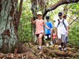 Hawaii Activities Discount Hawaii Activities Discount